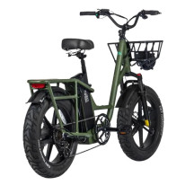 FIIDO T1 PRO electric bike