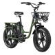 FIIDO T1 PRO electric bike