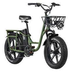 FIIDO T1 PRO electric bike  (20")