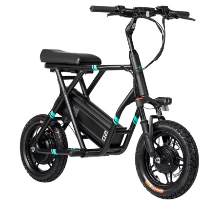 FIIDO Q2 electric bike (14")