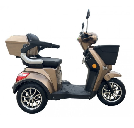 Mobility scooter MS03 M10