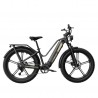 FIIDO TITAN electric bike (26")