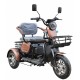 electric tricycle wheelchair M20 Li-ion (16")