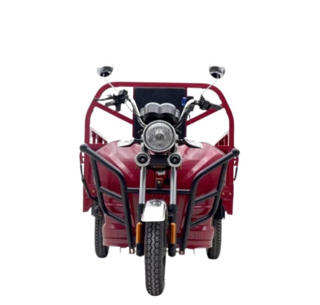 Electric three-wheel cargo scooter JL150