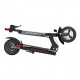 electric scooter S10X Bird Limited (10')