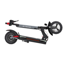 electric scooter S10X Bird Limited (10')