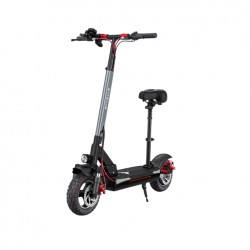 electric scooter S10X Bird Limited (10')