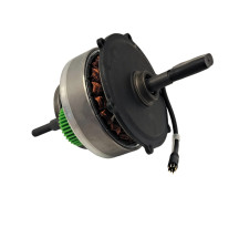 ENGWE X24 1000w electric bicycle motor