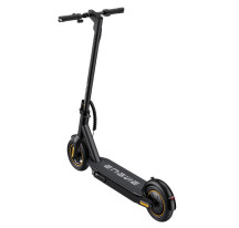 electric scooter S10X Bird Limited (10')