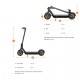 electric scooter S10X Bird Limited (10')