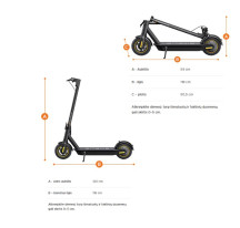 electric scooter S10X Bird Limited (10')