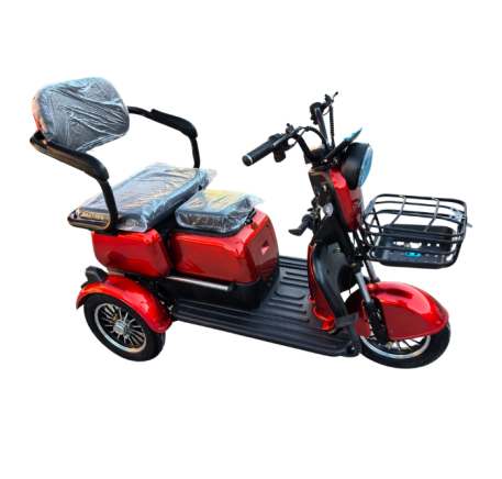 Electric tricycle wheelchair RIDE-E M20R PRO