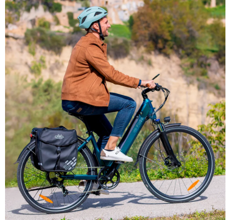 FIIDO C11 electric bike  (20")