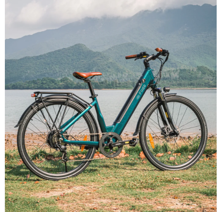 FIIDO C11 electric bike  (20")