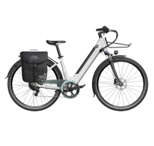 FIIDO C11 electric bike  (20")