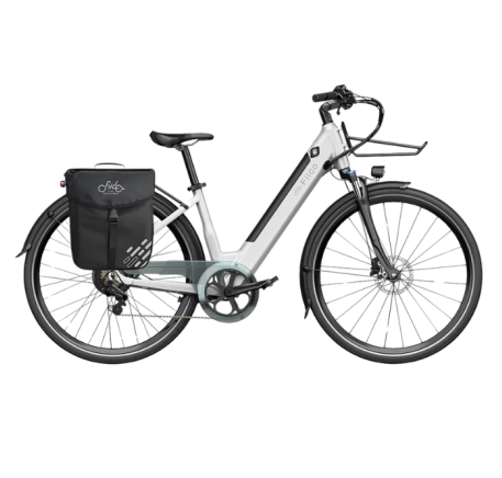 FIIDO C11 electric bike  (20")