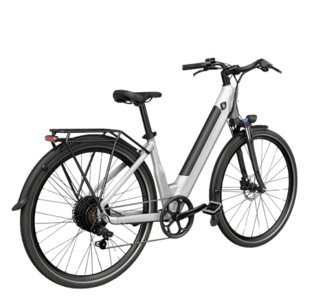 FIIDO C11 electric bike  (20")