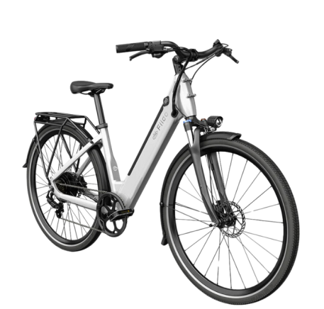 FIIDO C11 electric bike  (20")