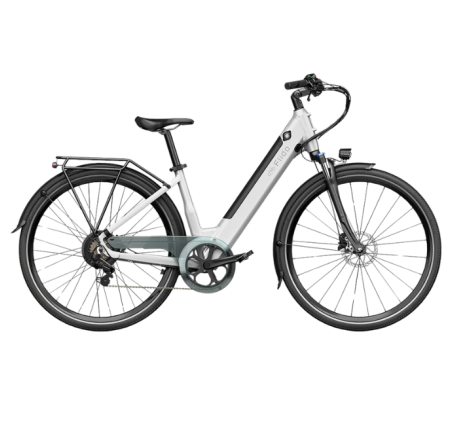 FIIDO C11 electric bike  (20")