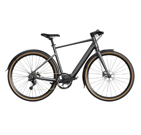 FIIDO C21 E-GRAVEL electric bike  (28")