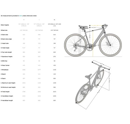 FIIDO C21 E-GRAVEL electric bike  (28")