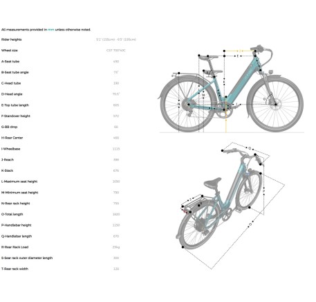 FIIDO C11 electric bike  (20")
