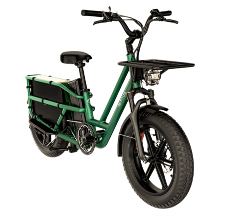 FIIDO T2 CARGO elektrinis cargo dviratis (20")