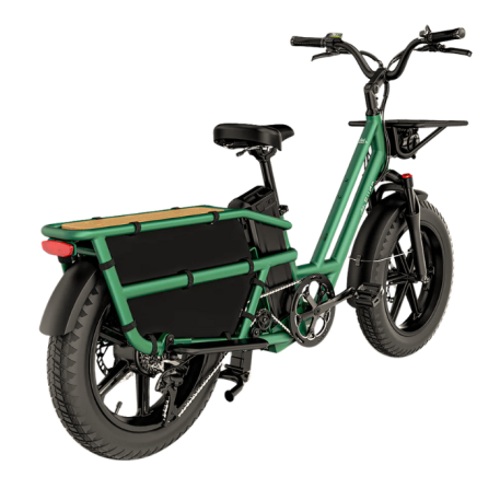 FIIDO T2 CARGO elektrinis cargo dviratis (20")