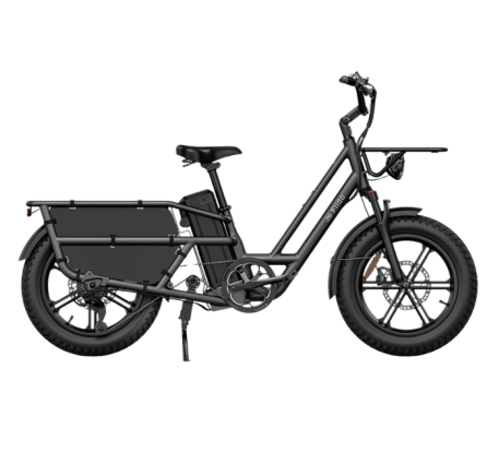 FIIDO T2 CARGO elektrinis cargo dviratis (20")