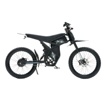 Riding Times GT73 electric...