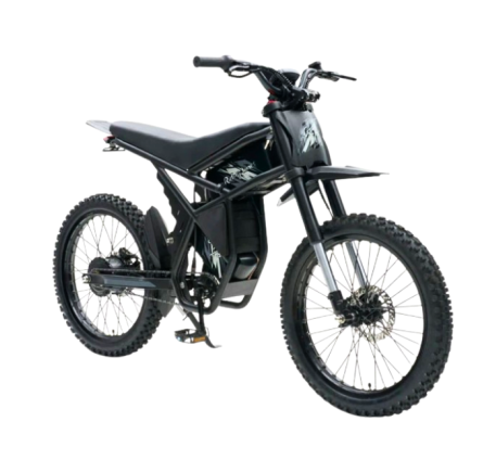 Riding Times GT73 electric bike (20")
