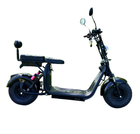 Electric scooter CITYCOCO TURA X10 (16")