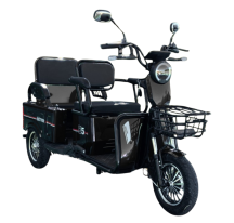 Electric three-wheel...