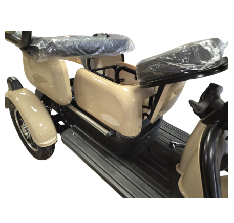 Electric tricycle wheelchair RIDE-E M20R PRO