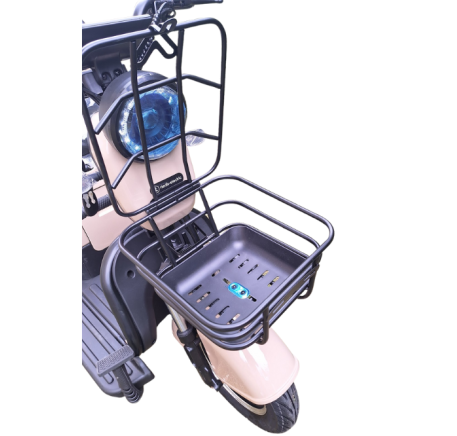 Electric tricycle wheelchair RIDE-E M20R PRO