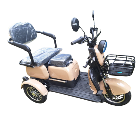 Electric tricycle wheelchair RIDE-E M20R PRO