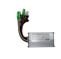 Electric bicycle controller...