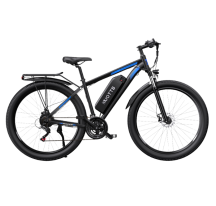 DUOTTS C29 electric bike (29")