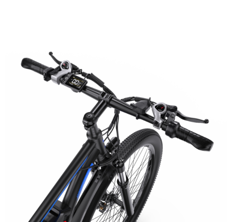 DUOTTS C29 electric bike (29")