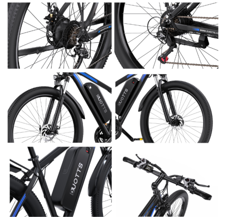DUOTTS C29 electric bike (29")