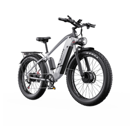DUOTTS F26 electric bike (26")