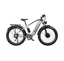 DUOTTS F26 electric bike (26")