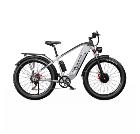 DUOTTS F26 electric bike (26")