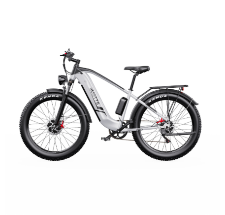 DUOTTS F26 electric bike (26")