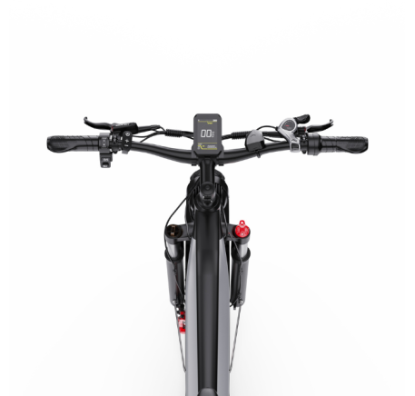 DUOTTS F26 electric bike (26")