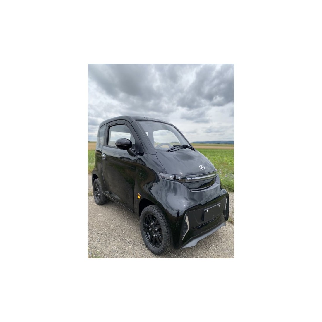 Electric mini car J4 EEC 1000W 65AH (R12)