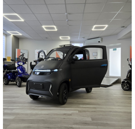Electric mini car J4 EEC 1000W 65AH (R12)