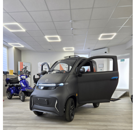 Electric mini car J4 EEC 1000W 65AH (R12)
