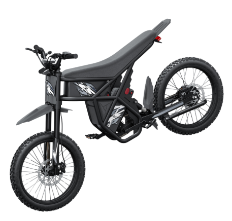 Riding Times GT73 electric bike (20")