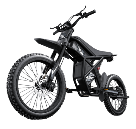 Riding Times GT73 electric bike (20")
